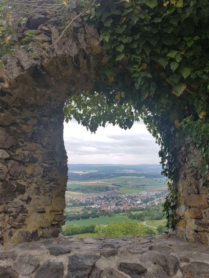 Ferienwohnung Hegau-Bodensee Muhlhausen-Ehingen Ngoại thất bức ảnh